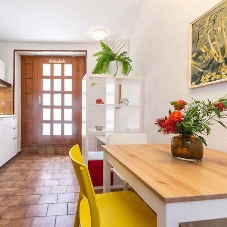 Studio Tamburini City Center Apartman Rovinj Kültér fotó